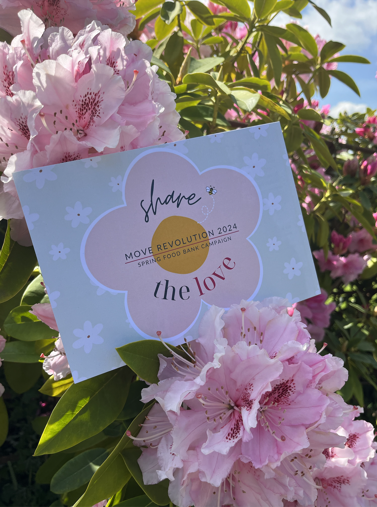 Share The Love – Spring 2024 Success!