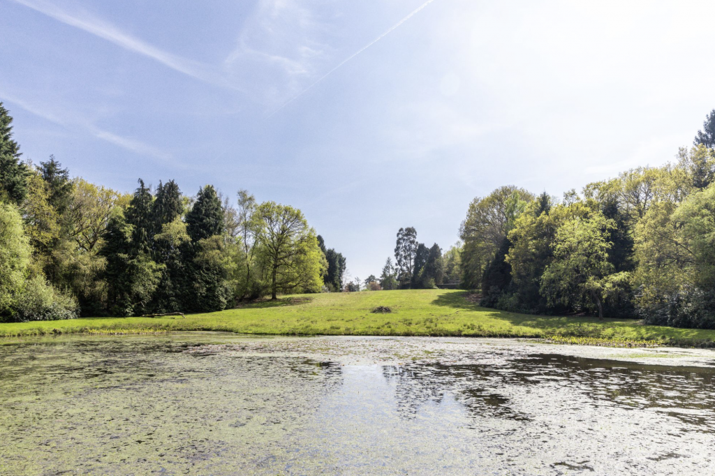 Move Revolution Properties of the Month – June 2024