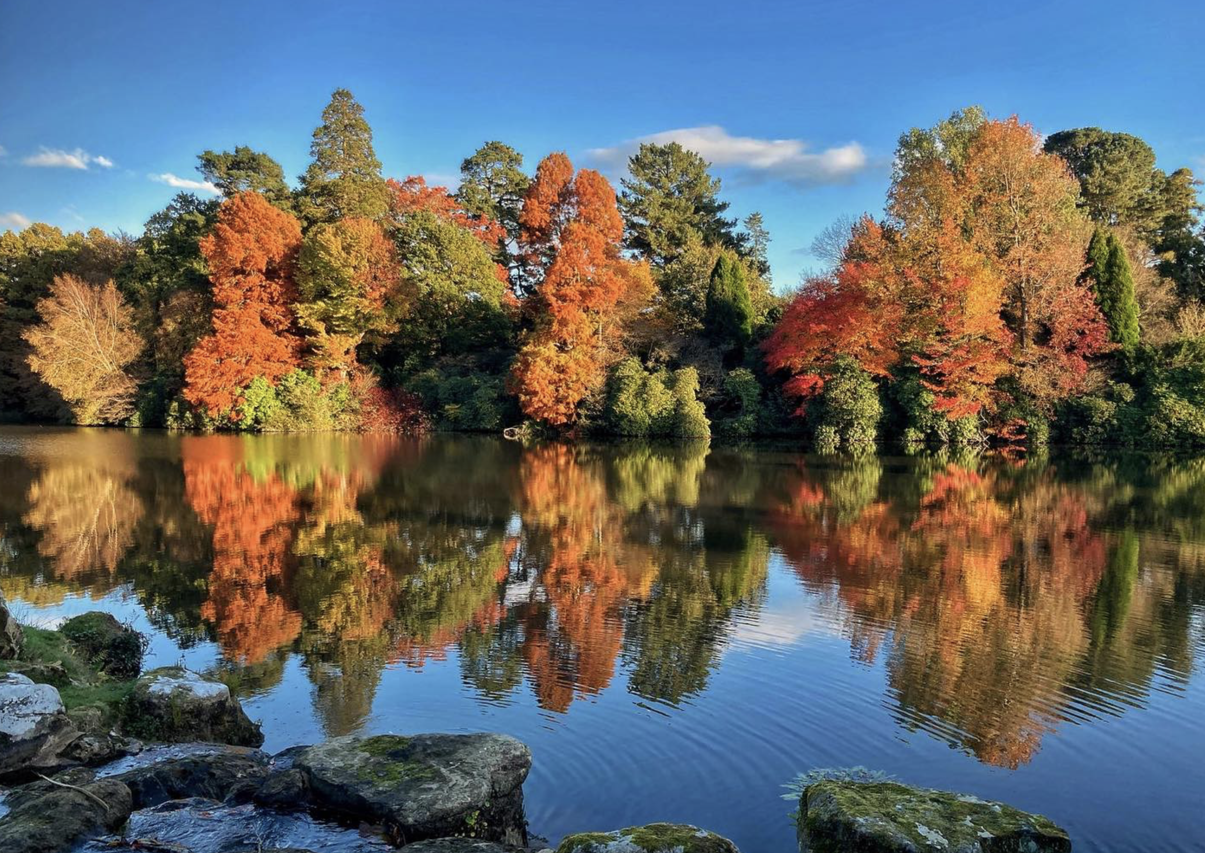 Things To Do In Autumn 2024