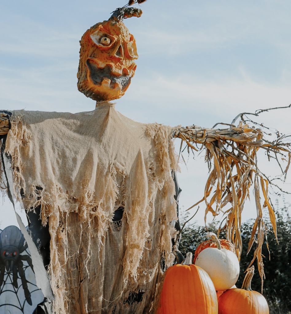 Pumpkin Picking in Surrey & Sussex 2024